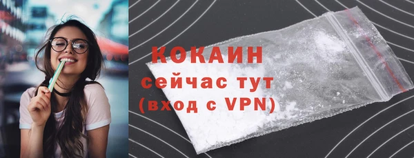 шишки Корсаков