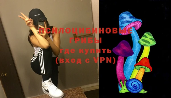 ГАЛЛЮЦИНОГЕННЫЕ ГРИБЫ Коряжма