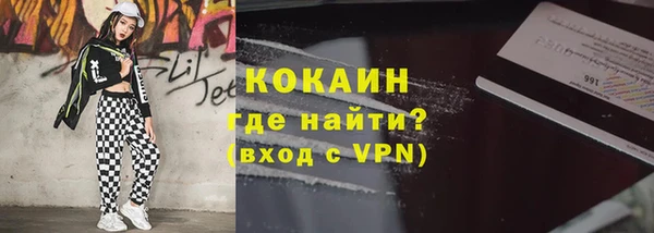 шишки Корсаков