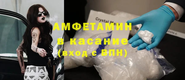 шишки Корсаков