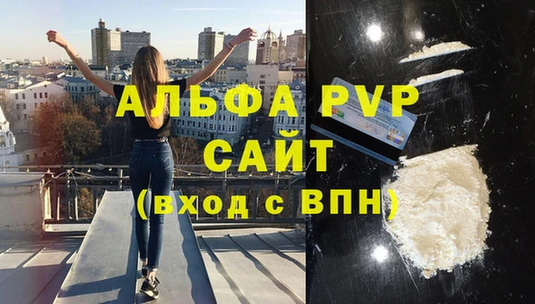 шишки Корсаков