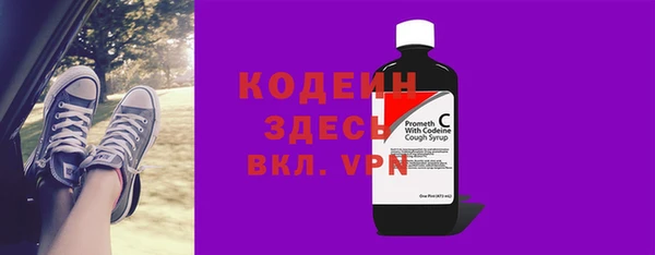 шишки Корсаков