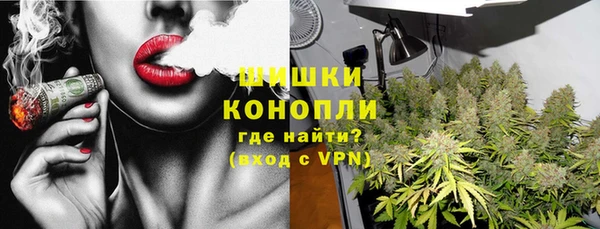 ГАЛЛЮЦИНОГЕННЫЕ ГРИБЫ Коряжма