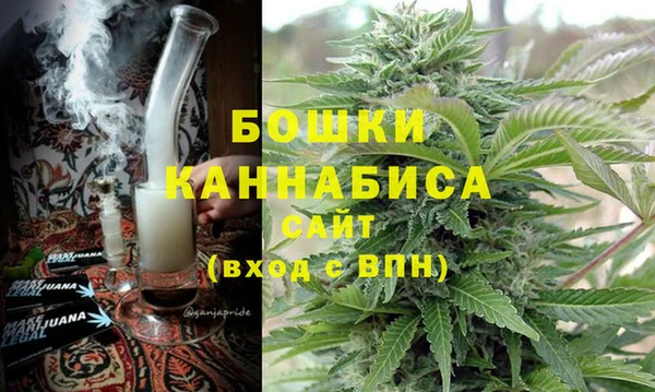 ГАЛЛЮЦИНОГЕННЫЕ ГРИБЫ Коряжма