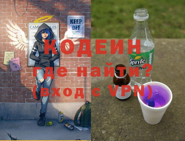 шишки Корсаков