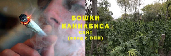 ГАЛЛЮЦИНОГЕННЫЕ ГРИБЫ Коряжма